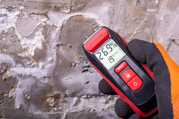 Mold Testing and Removal in Pecan Acres, TX