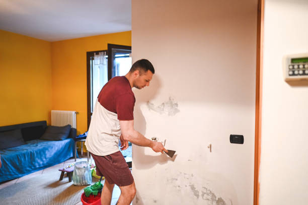 Best Certified Mold Removal  in Pecan Acres, TX
